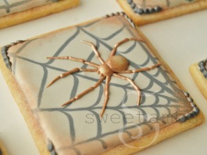 Spiders final