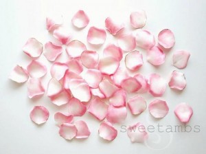 SweetAmbs_Gum_Paste (6)