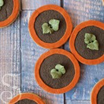 Seedling-cookies13