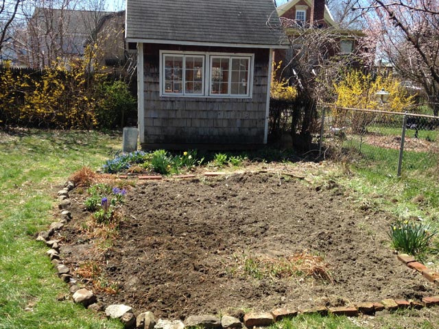 garden4
