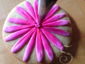 Gerbera-Daisy11
