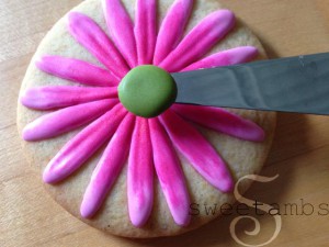 Gerbera-Daisy12