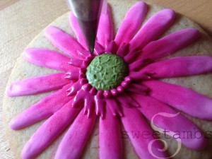 Gerbera-Daisy16