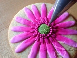 Gerbera-Daisy17