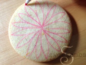 Gerbera-Daisy2