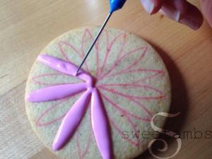 Gerbera-Daisy4