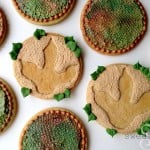 Dinosaur-Cookies3