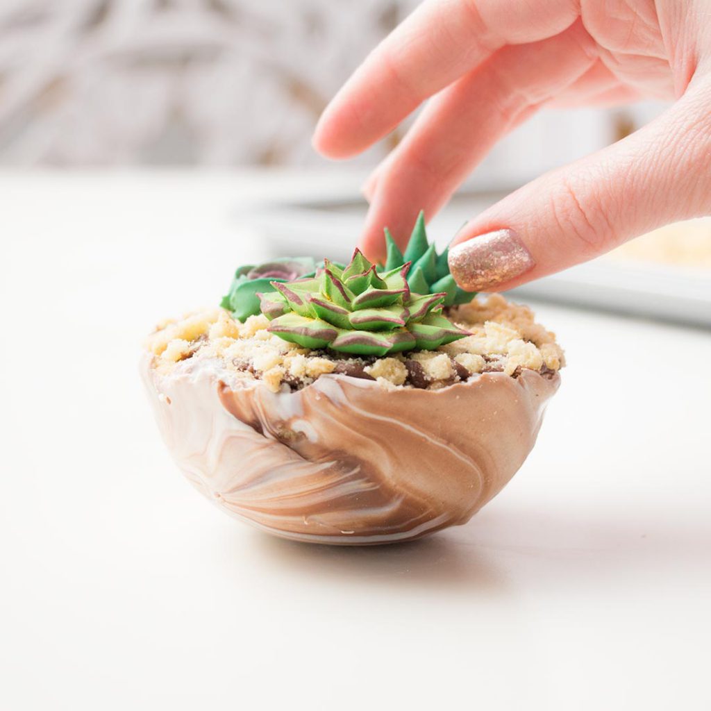 Place the royal icing succulents on top