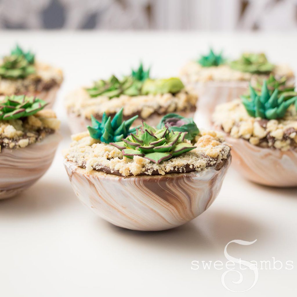 royal icing succulents in candy dipped cookie cups