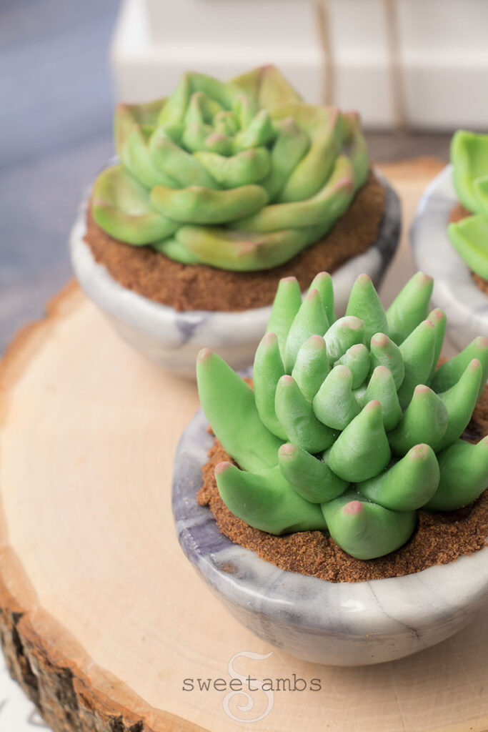 Succulent desserts in edible bowls. Succulents made of modeling chocolate sitting in edible bowls filled with chocolate cookie crumbs to look like potting soil. The succulent desserts are on a wooden cutting board on a wooden table.