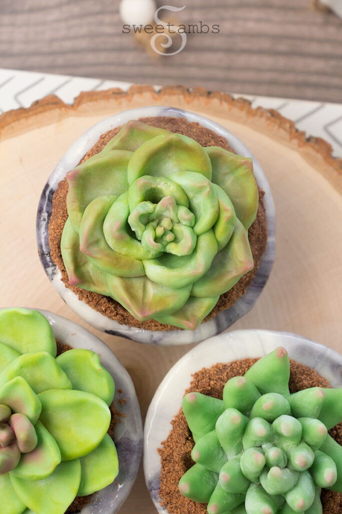 Top view of 3 succulent desserts in edible bowls. Succulents made of modeling chocolate sitting in edible bowls filled with chocolate cookie crumbs to look like potting soil. The succulent desserts are on a wooden cutting board on a wooden table.